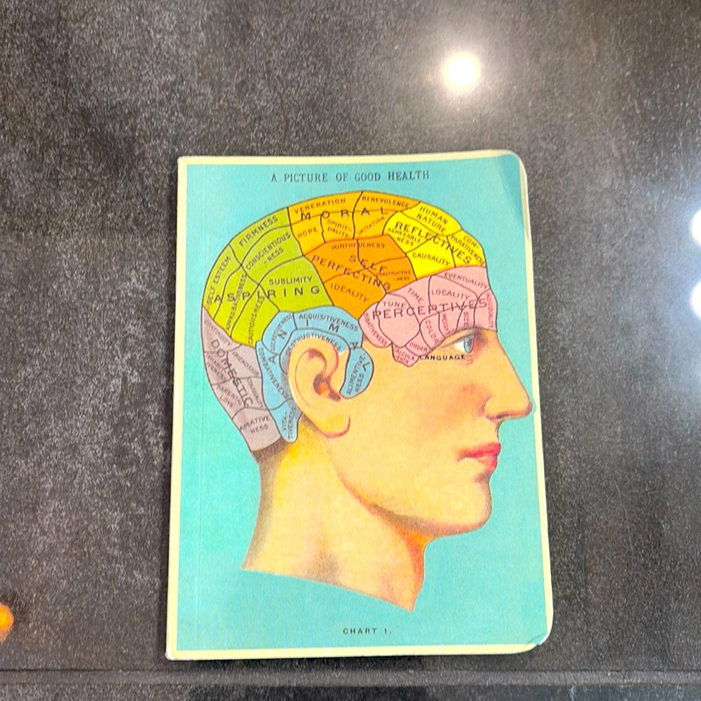 Vintage a picture of good health notebook